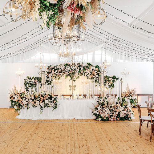 Y1